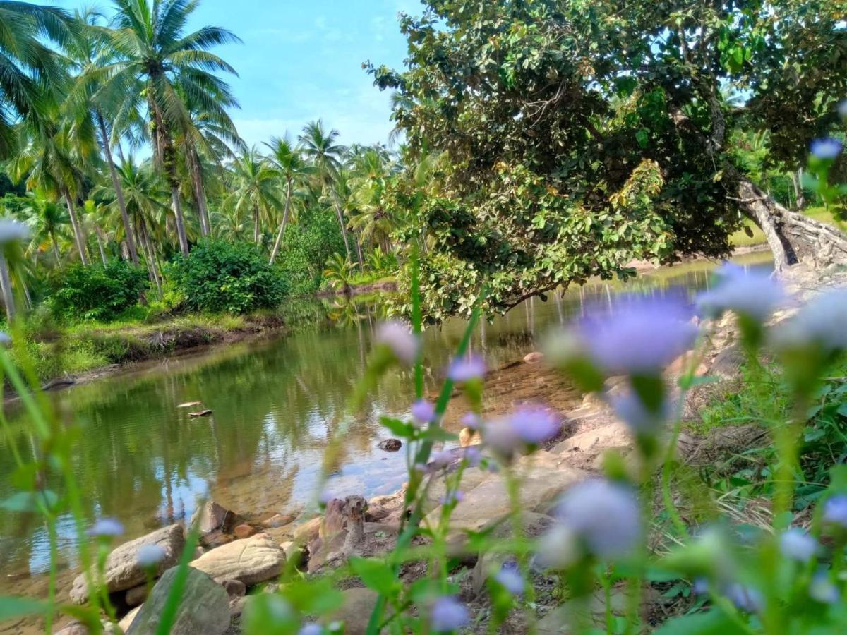 Walk In Homestay Ko Kut Exteriör bild